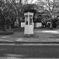 DSC_0220_00022