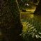 D75_0191_01_R