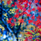 紅色