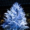 White tree in a building 