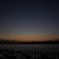 佐鳴湖散歩7