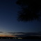 佐鳴湖散歩9