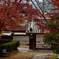 哀愁漂う山寺