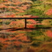 溢れる秋　～瑠璃光院秋景～