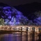 『渡月橋*.+ﾟ君 想う*.+ﾟ』