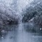 雪景色1