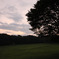 夏の夕景