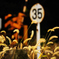 ３５