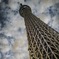 TOKYO SKYTREE
