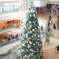 Christmasまで待てない♪