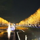 冬の昭和記念公園　2017.12.02
