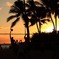 フォートデルッシーパーク　夕日