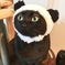 我が家のシャンシャン (*･ω･)ﾉ