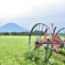北海道旅行④