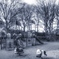 冬の公園