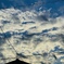 今朝の雲