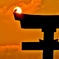 笠木の朝日鳥