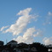 空にも秋を感じる