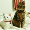 かん＆kii