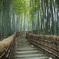 竹林道