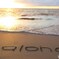Happy Aloha Friday