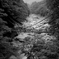 かずら橋