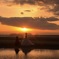 夕陽..*°