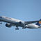 浮島町公園で飛行機撮影２