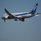 浮島町公園で飛行機撮影９