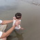 海