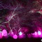 光の夜