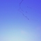 家に帰ろう。