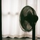 夏の名残