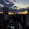 今日の夕方