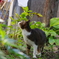 IMGP0028