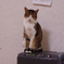 ほっといて―