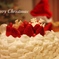 メリークリスマスでしたー