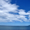 海は広いな～大きいな～