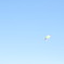 空高く