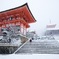雪の清水寺