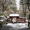 冬の京都 -女ひとり旅-