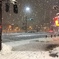 雪中のオアシス