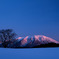 一本桜と茜纏う岩手山