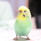 きょとん顔