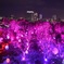 舞鶴公園 チームラボ城跡の光の祭