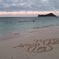 Happy Aloha New Year