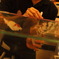 DSC02152