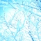 SO-01G