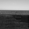 _R001782
