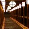 長谷寺　観音万燈会2
